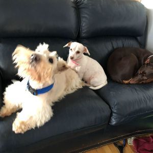 Meet your Posher, Jayrene